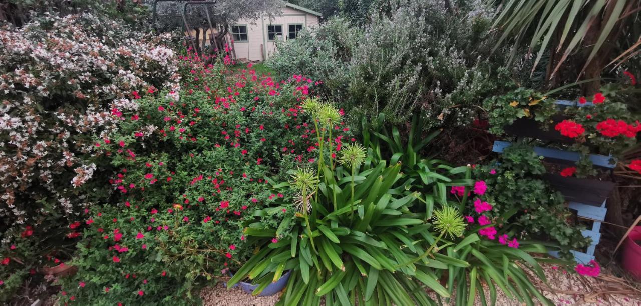Villa Des Cigales Beaucaire  Exterior foto